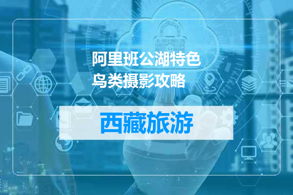 阿里班公湖特色鸟类摄影攻略