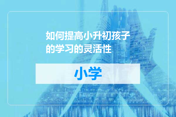 如何提高小升初孩子的学习的灵活性