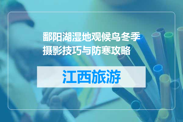鄱阳湖湿地观候鸟冬季摄影技巧与防寒攻略