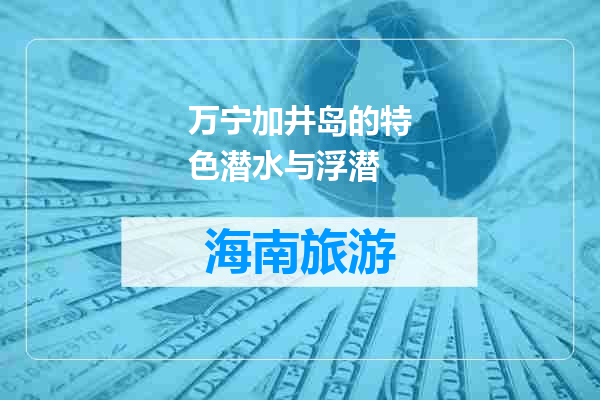 万宁加井岛的特色潜水与浮潜