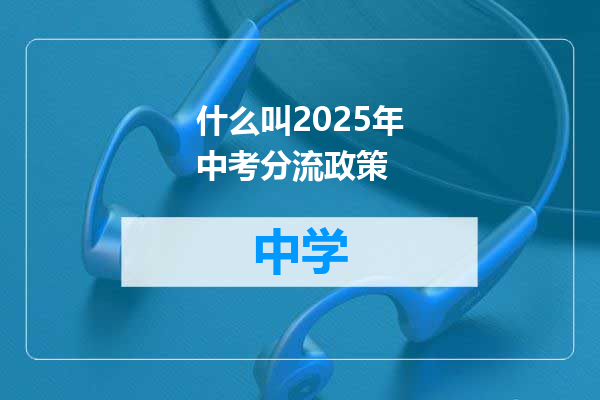 什么叫2025年中考分流政策