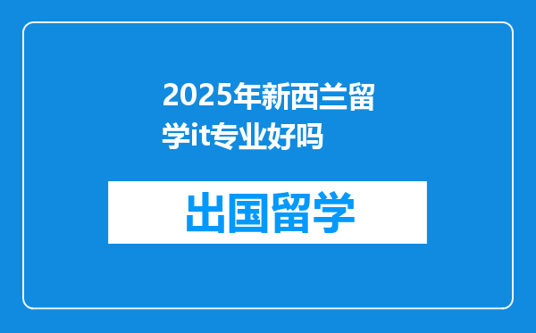 2025年新西兰留学it专业好吗