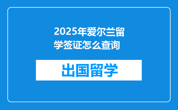 2025年爱尔兰留学签证怎么查询
