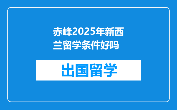 赤峰2025年新西兰留学条件好吗