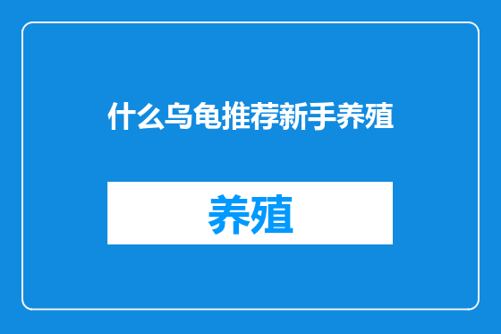 什么乌龟推荐新手养殖