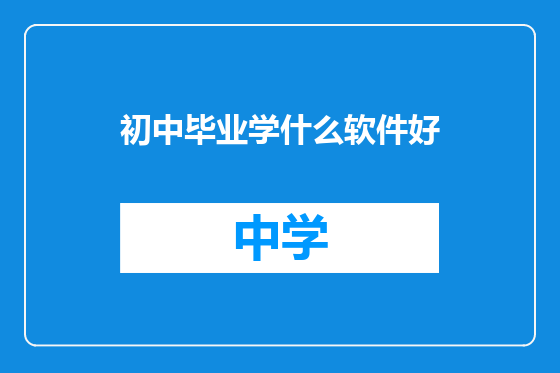 初中毕业学什么软件好