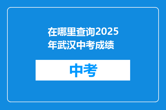在哪里查询2025年武汉中考成绩
