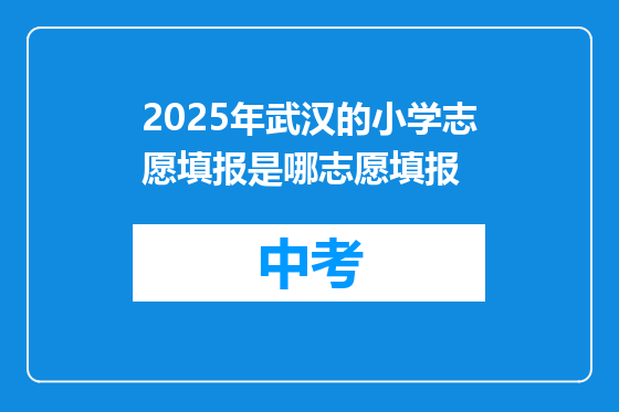 2025年武汉的小学志愿填报是哪志愿填报