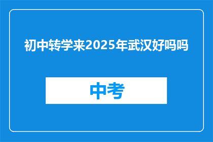 初中转学来2025年武汉好吗吗