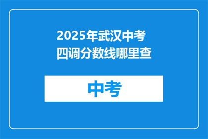 2025年武汉中考四调分数线哪里查