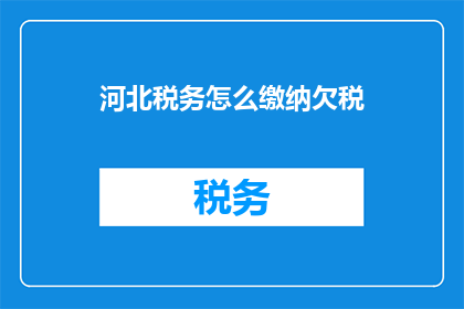 河北税务怎么缴纳欠税