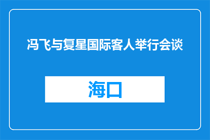 冯飞与复星国际客人举行会谈