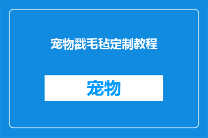 宠物戳毛毡定制教程(如何制作个性化宠物戳毛毡？)