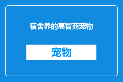 宿舍养的高智商宠物(宿舍里的智慧伙伴：高智商宠物的神秘魅力)