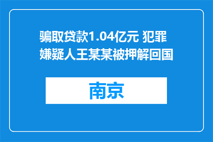 骗取贷款1.04亿元 犯罪嫌疑人王某某被押解回国
