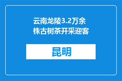 云南龙陵3.2万余株古树茶开采迎客
