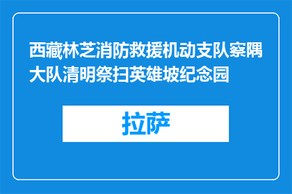 西藏林芝消防救援机动支队察隅大队清明祭扫英雄坡纪念园
