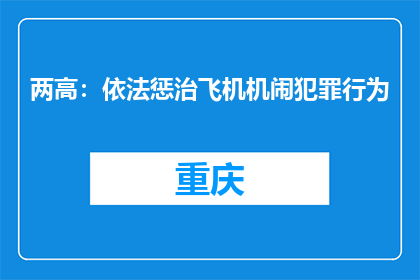 两高：依法惩治飞机机闹犯罪行为