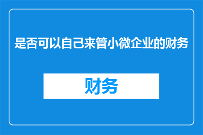 是否可以自己来管小微企业的财务(是否允许个人自行管理小微企业财务？)