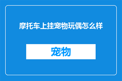 摩托车上挂宠物玩偶怎么样(摩托车上挂宠物玩偶是否合适？)